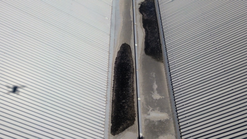 Water ponding held against the building, noted during a pre-purchase inspection in Deer Park, in Melbourne's west