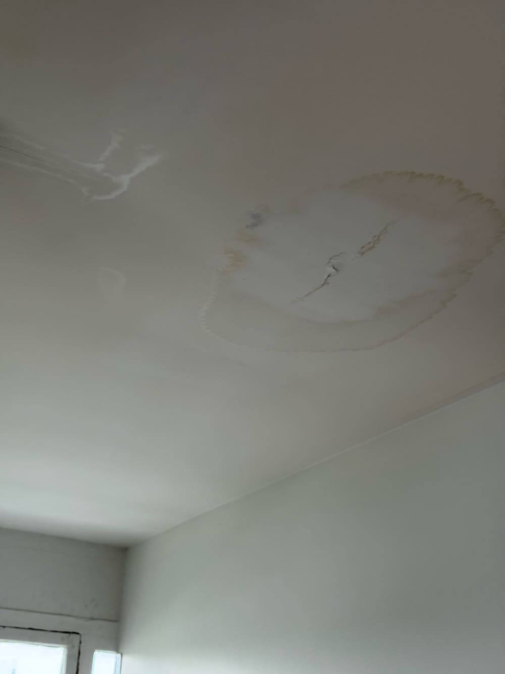 Water stain and mould on a ceiling, found during a defect investigation in Fitzroy