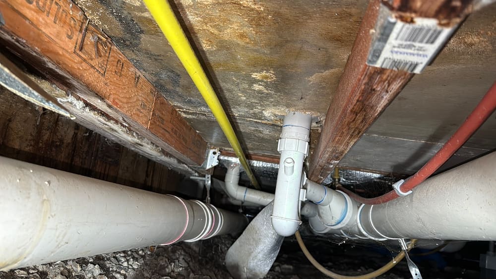 Water leaking beneath a shower floor into the subfloor, found during a defect investigation in Seddon